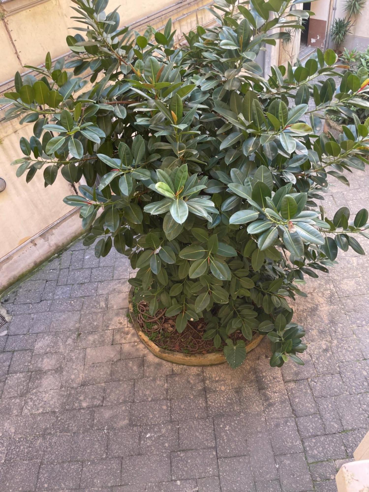 Station Bed & Breakfast Napoli