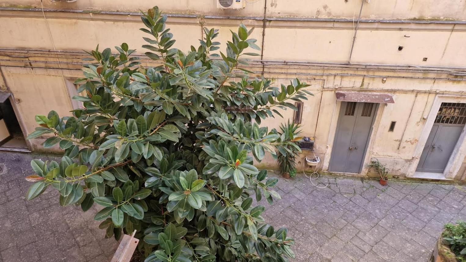 Bed & Breakfast Station Napoli